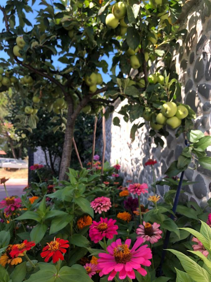 Hotel Apostoli เปอร์เมต ภายนอก รูปภาพ
